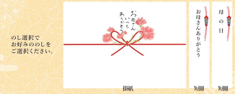 母の日ギフト用のしイメージ
